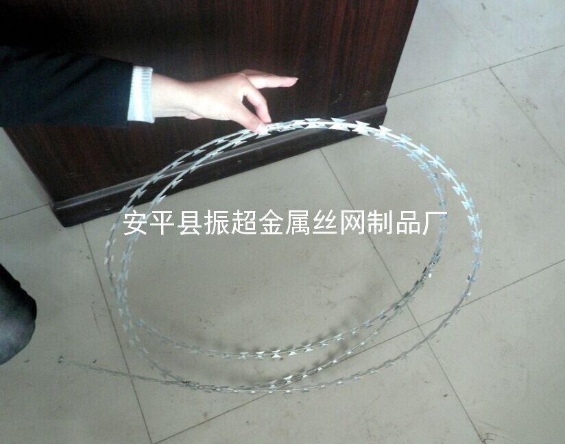 不銹鋼刺繩-安平縣振超金屬絲網制品廠m.mh1831.com