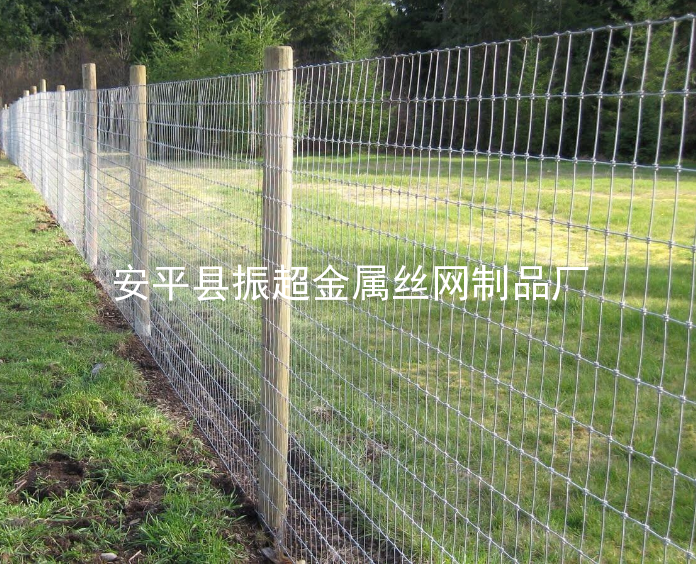 草原圍網-m.mh1831.com