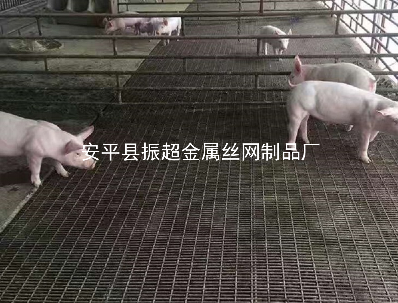 鐵絲網(wǎng)保育床,鐵絲網(wǎng)產(chǎn)床-m.mh1831.com