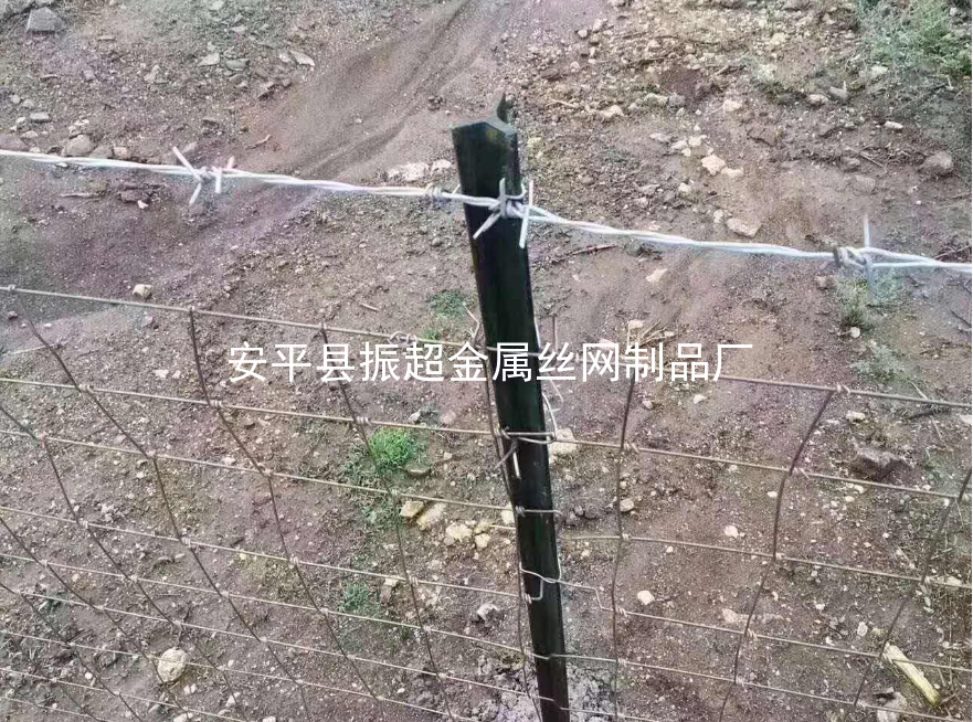 圈羊鐵絲網，圈牛鐵絲網-m.mh1831.com