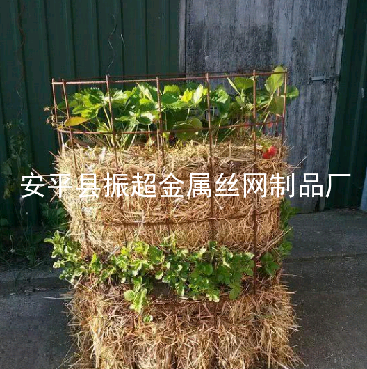 鐵絲網(wǎng)花藍-www.apzhenchao.con