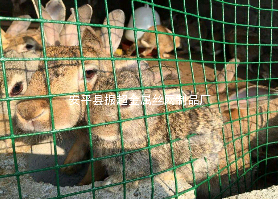 養(yǎng)殖鐵絲網(wǎng)，綠皮鐵絲網(wǎng)-m.mh1831.com