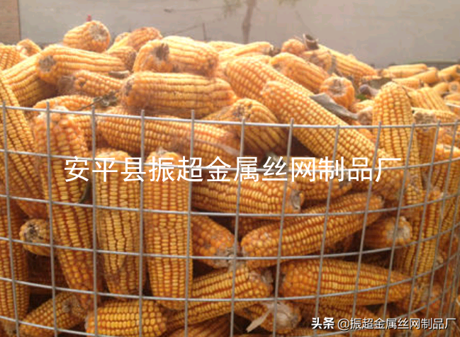 圈玉米-m.mh1831.com