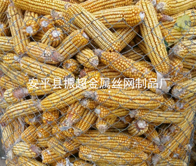 用來圈玉米的鐵絲網-m.mh1831.com