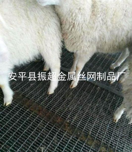 鐵絲網羊床,養羊漏糞板-m.mh1831.com