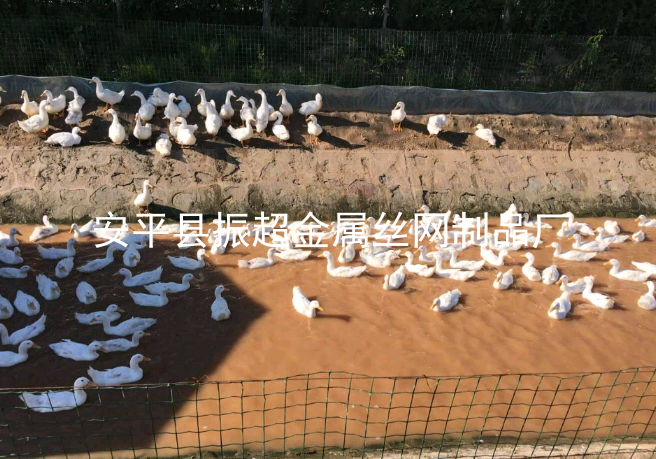 圈雞鴨圍欄圍網-m.mh1831.com