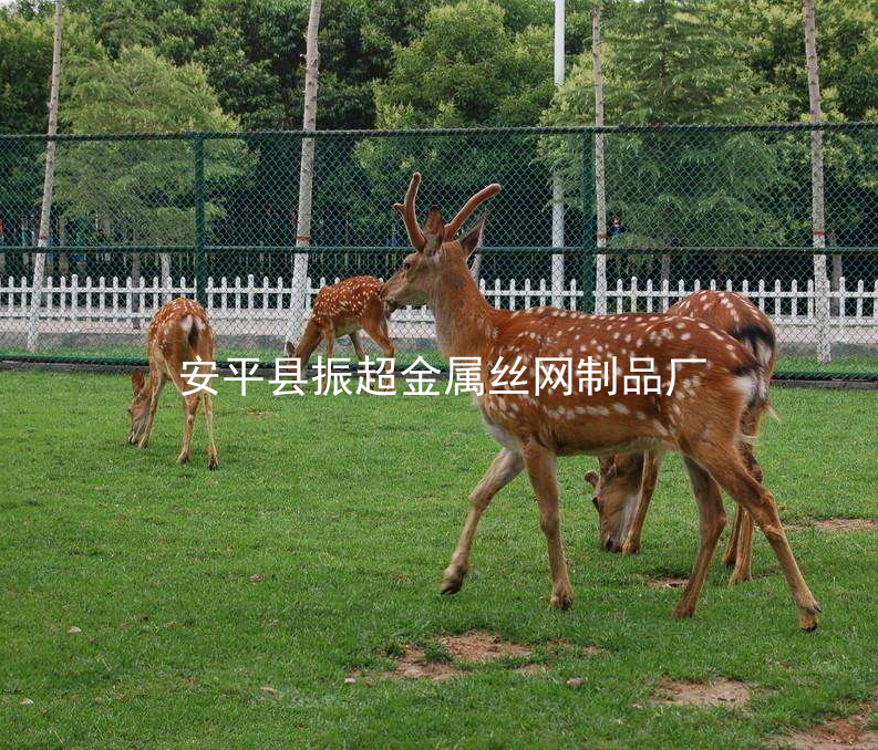 圈鹿圍欄,養殖圍欄圍擋圍網-m.mh1831.com
