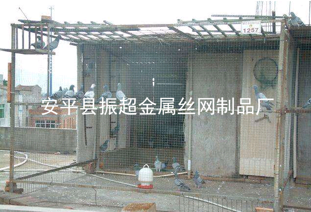 圈鴿子圍擋圍網，鴿子圍欄-m.mh1831.com